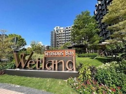 Wetland seasons bay1